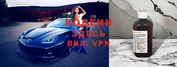 крисы Новокубанск