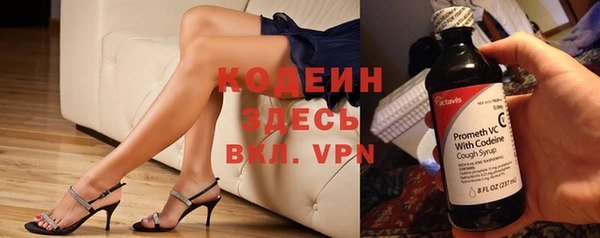 крисы Новокубанск