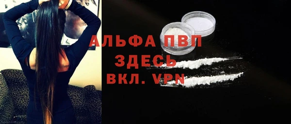 крисы Новокубанск