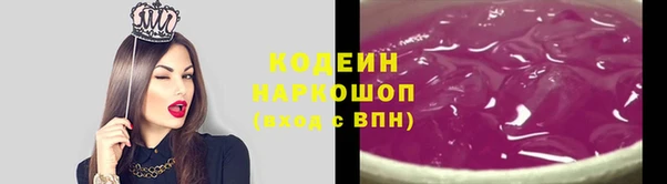 крисы Новокубанск