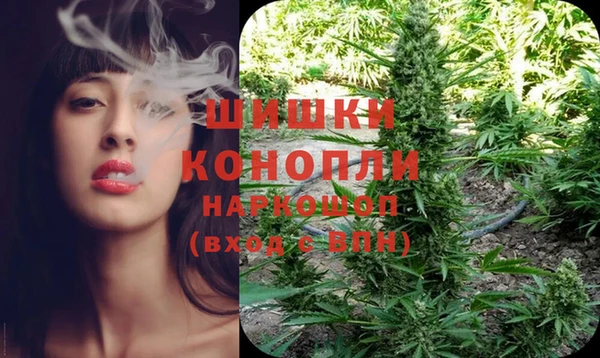 первитин Новозыбков