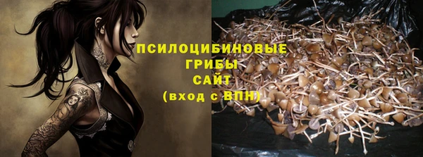 первитин Новозыбков
