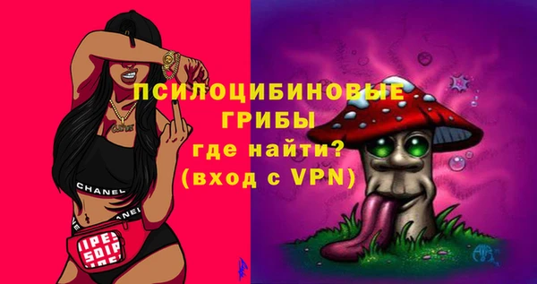 крисы Новокубанск