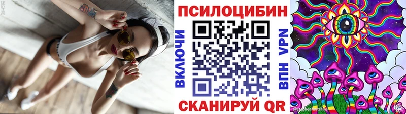 Галлюциногенные грибы Cubensis  Балахна 