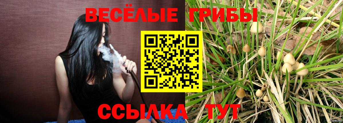 Псилоцибиновые грибы мицелий Балахна