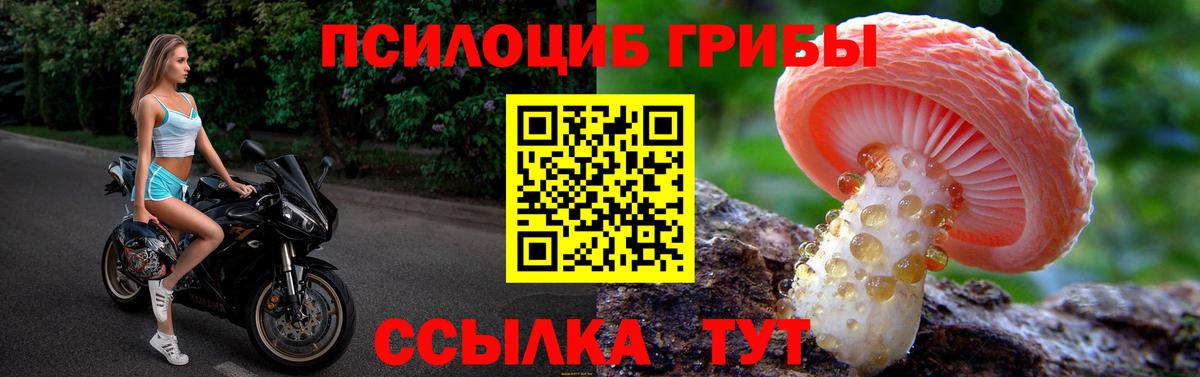 Галлюциногенные грибы Magic Shrooms Балахна