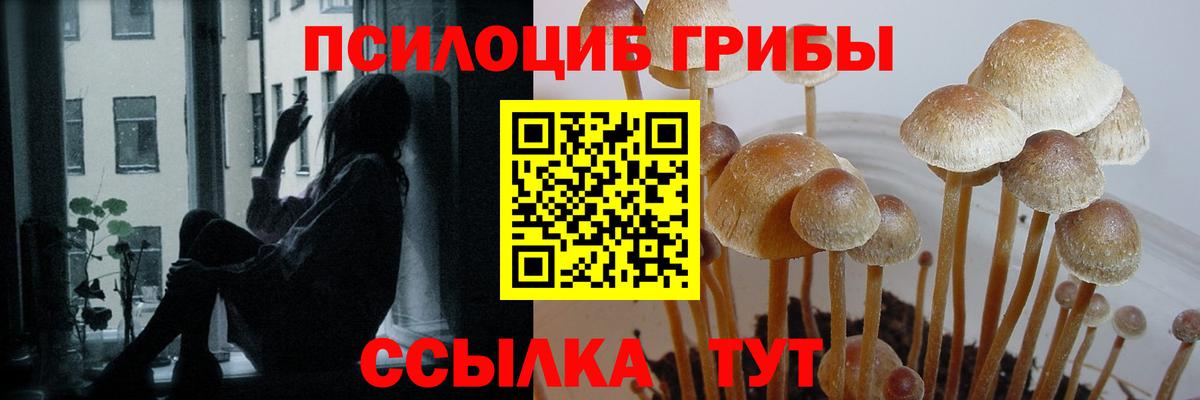 Галлюциногенные грибы прущие грибы  Балахна 